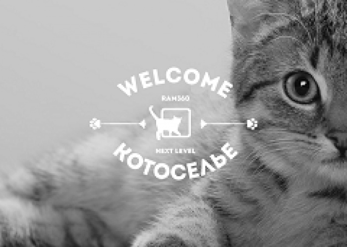 Новый уровень новоселья = #котоселье