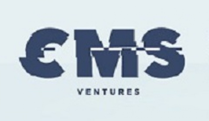 Первые итоги работы украинского инвестфонда на рекламном рынке – CMS Ventures