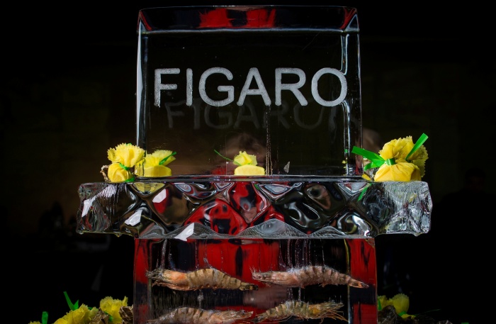 Новая коллекция Фигаро-Кейтеринг – Ледник Hubbard 