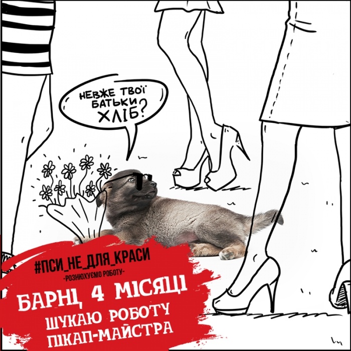 Бородянский приют трудоустраивает своих щенков