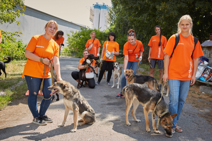 «Вони всі хочуть ласки»: до Дня захисту безпритульних тварин Фокстрот зняв зворушливий корпоративний ролик