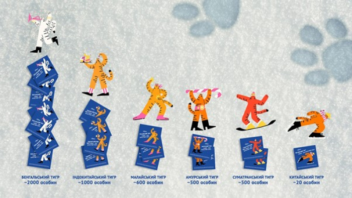 «Сільпо» та R Agency звернули увагу на рідкісних тигрів