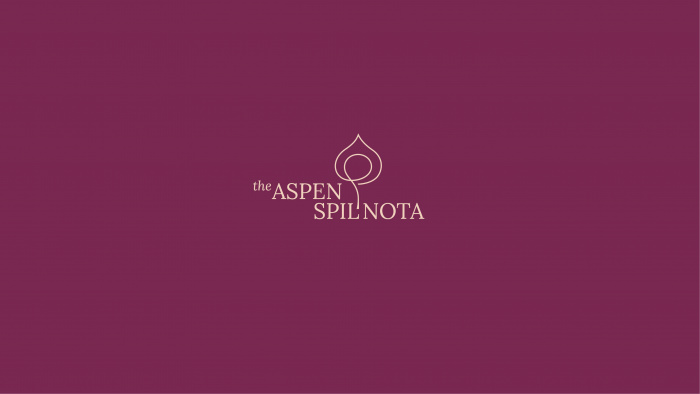 Havas Kyiv Design створили айдентику для The Aspen Spilnota