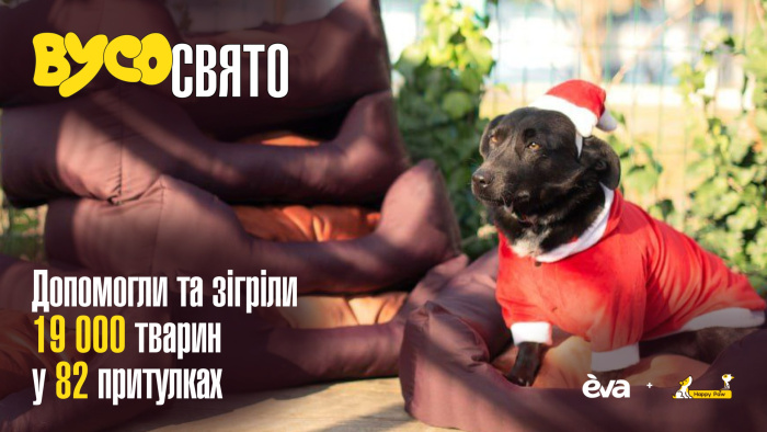 Як втілити мрію та подарувати тваринам тепло на свята. 