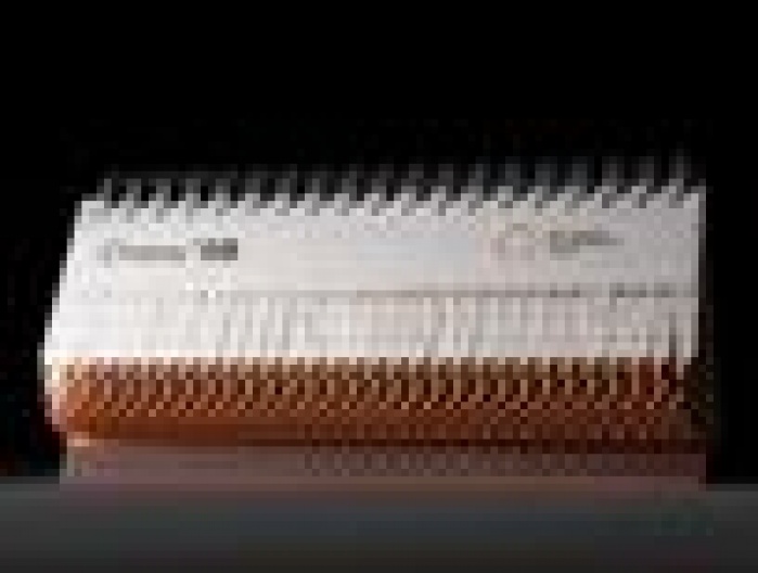 Перше Золото для України - EPICA AWARDS 2008