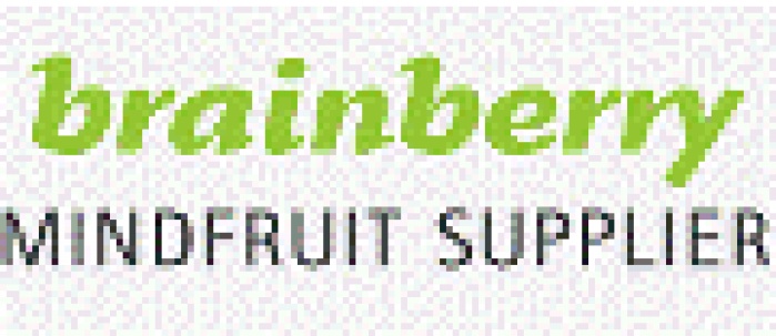 Вирусная селф-промо кампания агентства Brainberry - “Say NО to boring web ads”