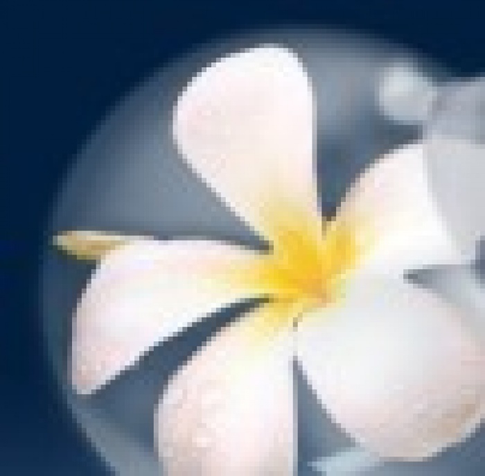 Ароматная традиция Киевского Международного Фестиваля рекламы