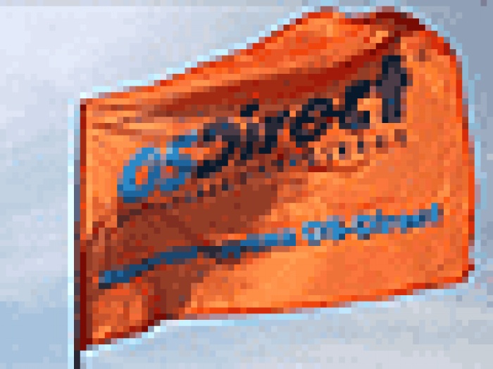 Традиция, которую мы любим. День рожденья города OS-Direct отметил Пробегом! 