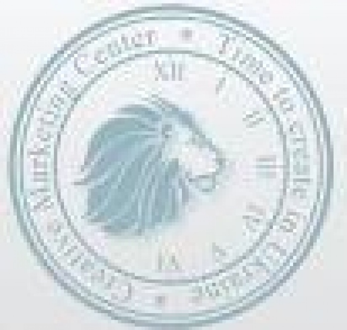 "РЕКЛАМА ИЗНУТРИ. КАК СЕГОДНЯ ПРОДВИГАЮТ КРУПНЕЙШИЕ БРЕНДЫ." 