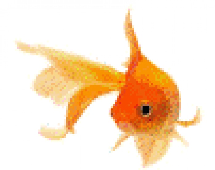 VI Customer Management Congress ∙ Marketing ∙ Sales ∙ Service