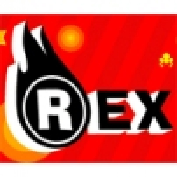 Горячие точки выставки REX 2009