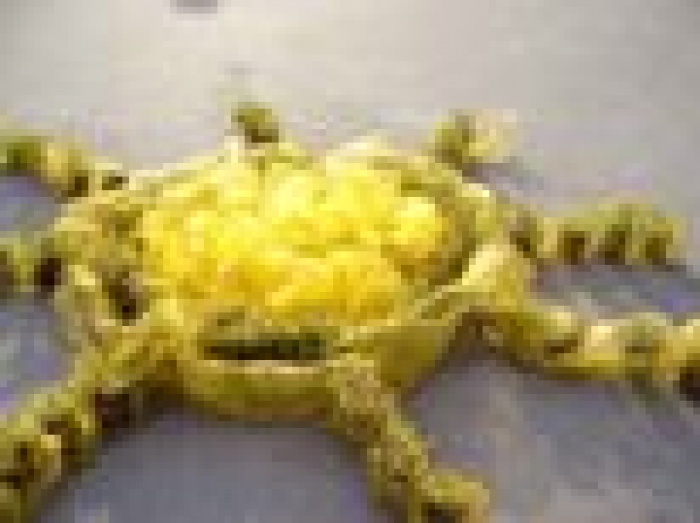 «Два Товарища» приняли участие в фестивале Доброты.