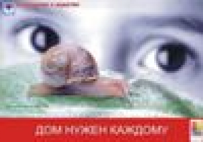 Определены победители Всероссийского конкурса социальной рекламы