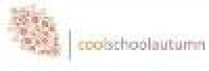 Построение успешной торговой марки