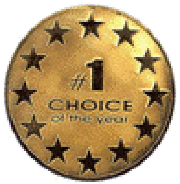 Объявлены результаты Международного фестиваля-конкурса «Выбор года»  за 2009 год  