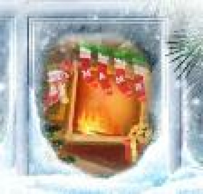 С НОВОГОДНИМИ ПРАЗДНИКАМИ!