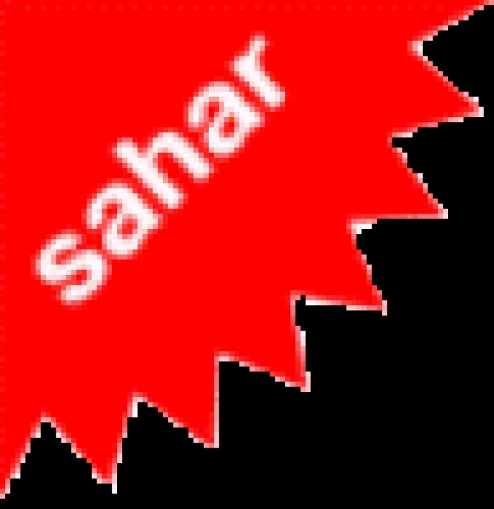 Новогоднее поздравление от Sahar!