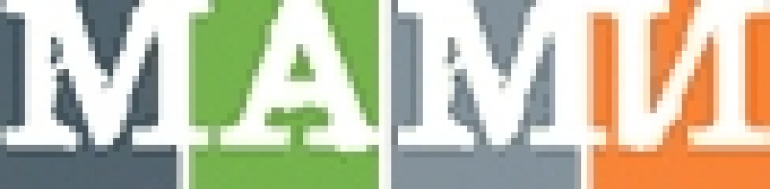 МАМИ начинает работу над Рейтингом агентств маркетинговых сервисов Украины согласно доходам за 2009 год