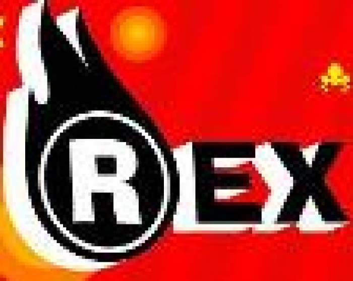   Четырнадцатая международная выставка рекламы, маркетинга и масс-медиа REX 2010