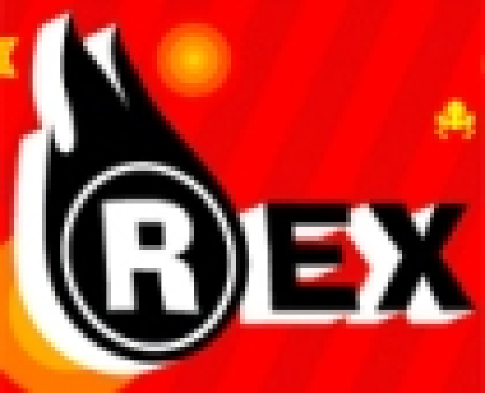 REX: успешного бизнес-года, коллеги!