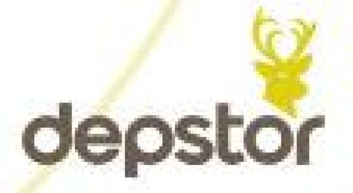 Всему Киеву показали Depstor’а