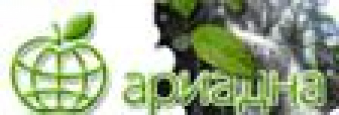 Научно-производственное предприятие «Ариадна» стало спонсором женской футбольной команды «Черноморочка»