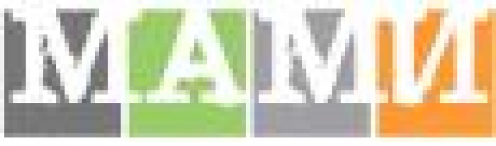 На круглом столе МАМИ обсудят финансовые и законодательные вопросы найма промо-персонала