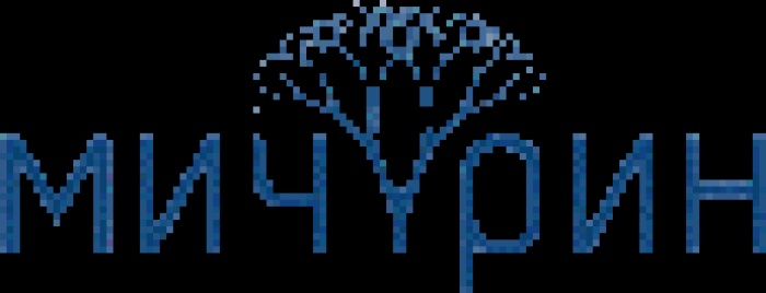 Круассаны-трансформеры от «Мичурина»