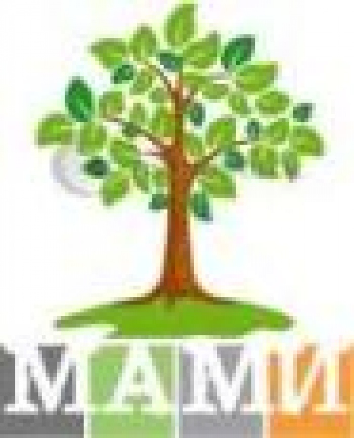 Прояви двойную ответственность, сделай Киев зеленее с МАМИ!!!