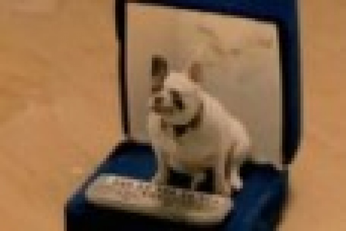 Поющая собака отрекламировала сосиски 