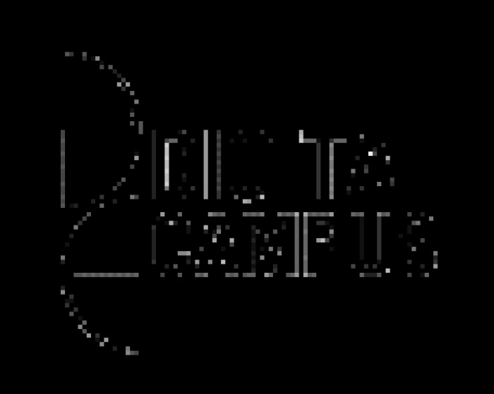 Бриф для Digital Campus, 12 - 15 июля