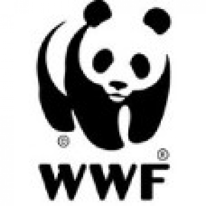 WWF собирается всех удивить