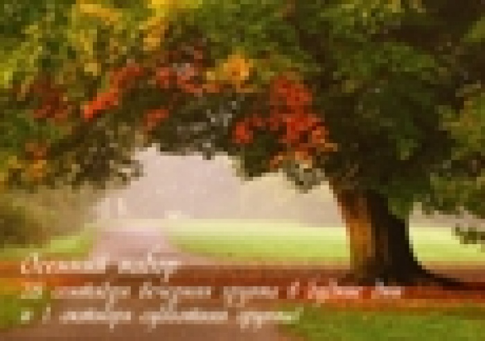 Учебный центр  «Школа Рекламных Технологий » объявляет набор в новые группы.