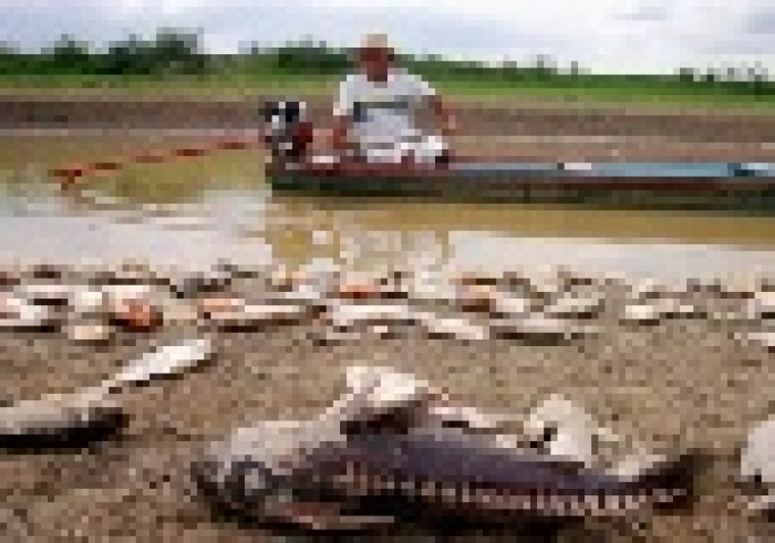 Климатические изменения могут быть опасны для здоровья и безопасности на всей планете