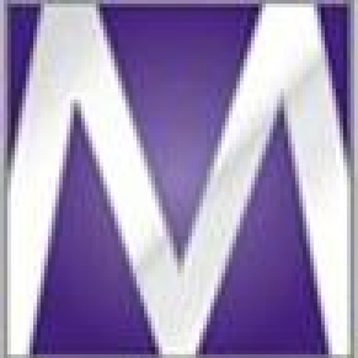 Петербург станет центром волонтерской деятельности