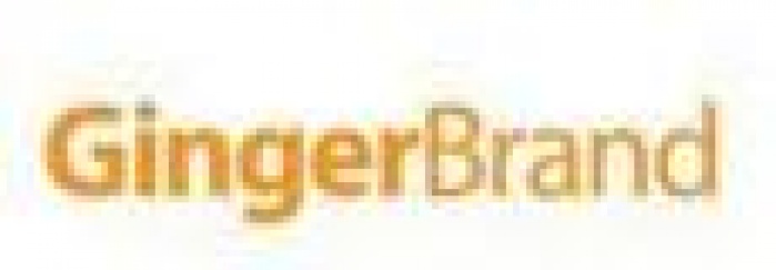 Marry Christmas and Ginger New Year !