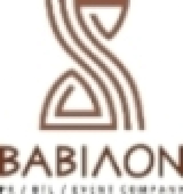 Компания «ВАВИЛОН» одержала победу на  6-м Национальном фестивале социальной рекламы!