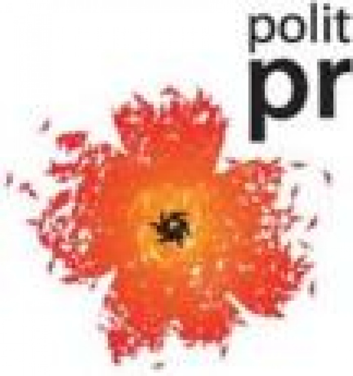 Бесплатная стажировка в Европейском Парламенте от PolitPR