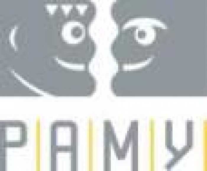 Эксперты РАМУ и АКАР приводят средние ставки российских промоутеров