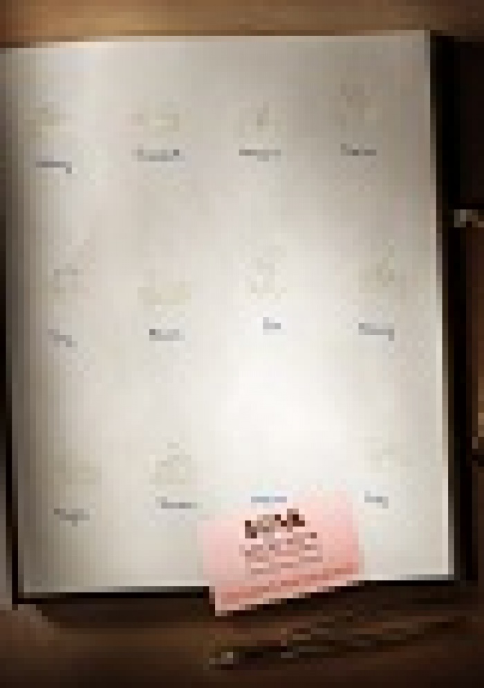 Ни одного шанса пополнить его коллекцию