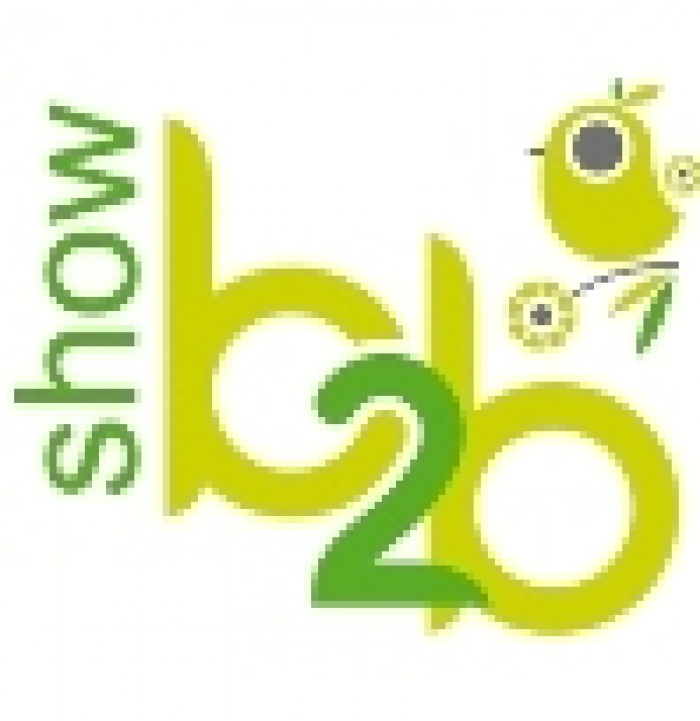 B2B Show 2013: деловая программа