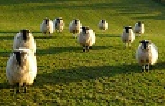  Два беспроигрышных закона рекламы, которые ни в коем случае нельзя соблюдать