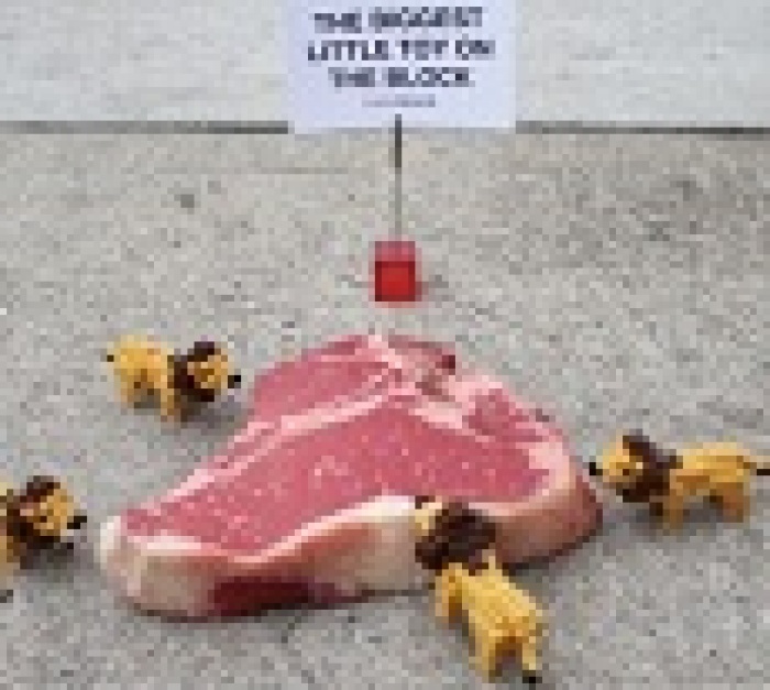 AMBIENT ДЛЯ МИКРОКОНСТРУКТОРА NANOBLOCK