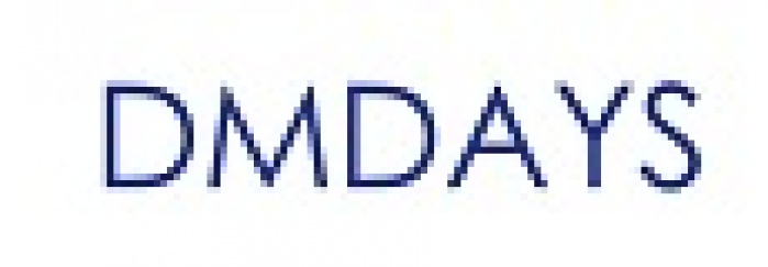 DMDAYS 2013: никаких стартапов! 