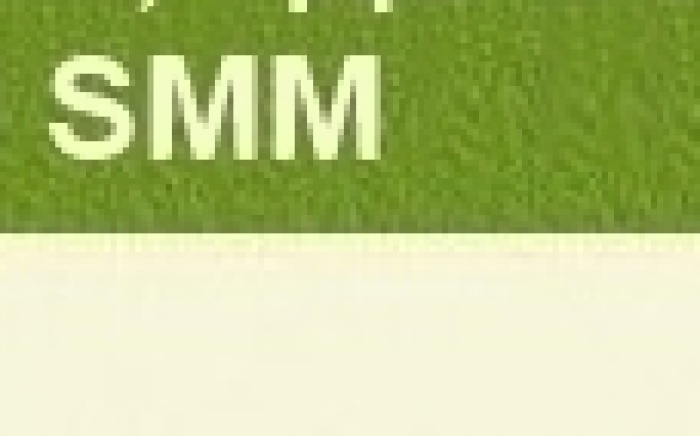  Структура SMM-отдела в западных компаниях