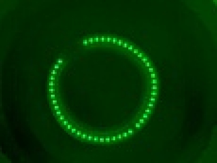 Tuborg показал, как пиво может танцевать