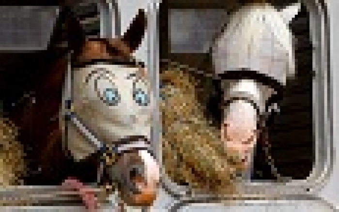 Бесплатный мастер-класс Надежды Фоминой: «Что такое Shopper Marketing?»