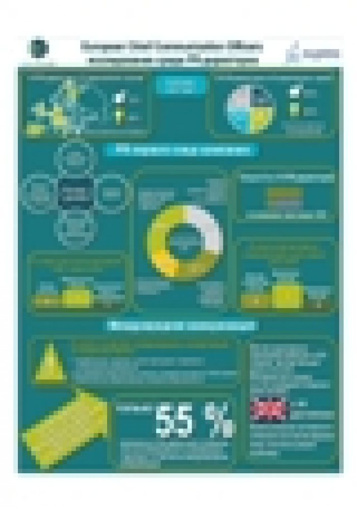Руководитель компании становится «культовой» фигурой