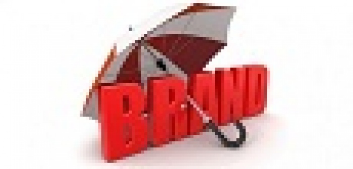 Управление репутацией бренда: ПЛАН В СЕМЬ ШАГОВ