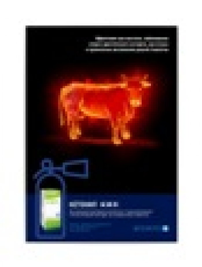 Даже суровые ветврачи прослезятся